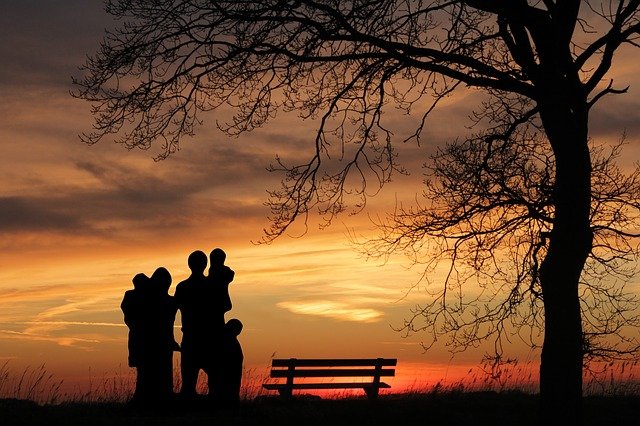 夕暮れの大木の下にたたずむ人々のシルエット
