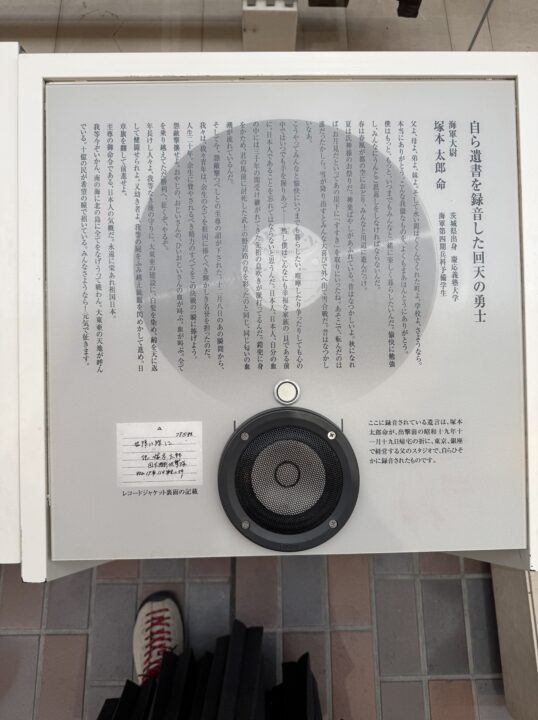 展示された円形の作品と解説パネル