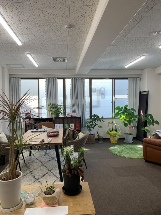 観葉植物の置かれた明るい室内
